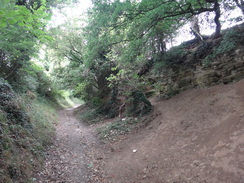 P2018DSC04929	A sunken track leading up into Stonesfield.