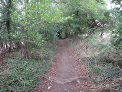 P2018DSC04951	A lovely enclosed path to the southeast of Charlbury.