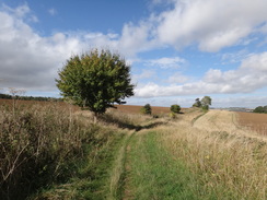 P2018DSC04973	The track heading west from Walcot Farm.