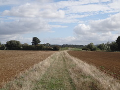 P2018DSC04986	Following the Oxfordshire Way west from Catsham Bridge.