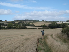 P2018DSC04993	Birding to the north of Ascott-under-Wychwood.