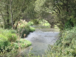 P2018DSC04994	The River Evenlode at Ascott-under-Wychwood.