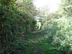 P2018DSC05011	Following the Oxfordshire Way west towards Shipton Station.