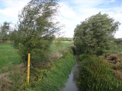 P2018DSC05017	The River Evenlode in Shipton under Wychwood.