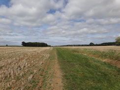 P2018DSC05037	Following the path north from Bruern.