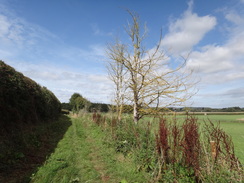 P2018DSC05040	Following the path north into Bledington.