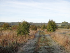 P2018DSC05089	Following a frosty track southwest towards Gawcombe.