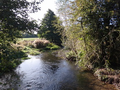 P2018DSC05112	The River Dickler.