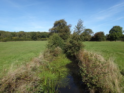 P2018DSC05154	A stream near Hyde Mill.