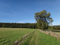 P2018DSC05186	Following the path north from Longborough.