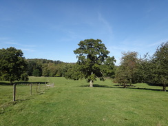 P2018DSC05189	Heading across the grounds of Sezincote House.