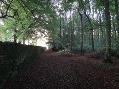 P2018DSC05255	The path climbing past Batsford Arboretum.