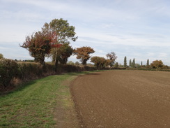 P2018DSC05425	The path between Murcot and Wickhamford.