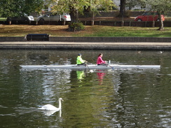 P2018DSC05459	Rowers on the Avon in Evesham.