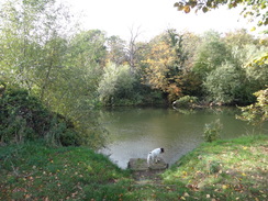 P2018DSC05469	Following the River Avon downstream around Evesham.