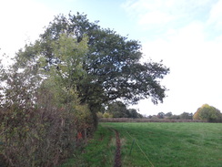 P2018DSC05622	The path between Haslington Hall and Haslington.