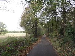 P2018DSC05698	The track north past Newstead Park.