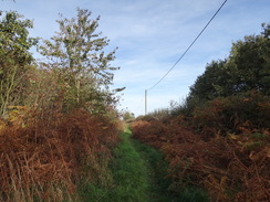 P2018DSC05728	Heading north path Rushley Farm.