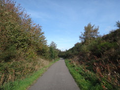 P2018DSC05754	Following the old railway trackbed north past Rainworth.