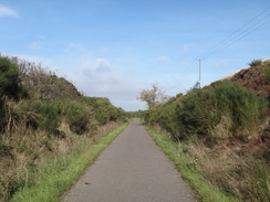 P2018DSC05761	Following the old railway trackbed north from Rainworth.