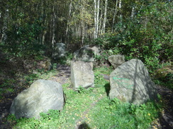 P2018DSC05771	Boulders in Clipstone Forest.
