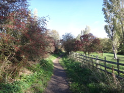 P2018DSC05816	The path heading west past Vicar Water Country Park.