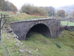 P2018DSC05867	An old bridge on Cromford and High Peak Railway, under the Macclesfield Old Road.
