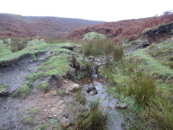 P2018DSC05875	A stream to the south of Macclesfield Old Road.