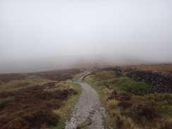 P2018DSC05929	Heading back towards the Cat and Fiddle from Shining Tor.