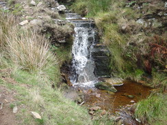 P2018DSC05959	The stream in Danethorn Hollow.