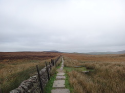 P2018DSC05997	The causeyed path between Shutlingsloe and the Macclesfield Forest.