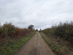 P2018DSC06163	Heading north towards Aston Hall Farm.