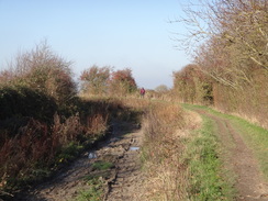 P2018DSC06398	Following the disused canal southwest from Little Tring.