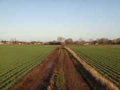 P2018DSC06523	Following the path north towards Isham.