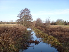 P2018DSC06554	The River Ise near Wicksteed Park.