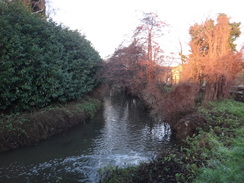 P2018DSC06647	Following the River Gipping south from Stowmarket.