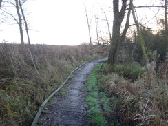 P2018DSC06667	A rather rickety stretch of boardwalk to the north of Needham Market.