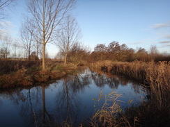 P2018DSC06669	Following the River Gipping south towards Needham Market. 