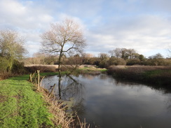 P2018DSC06693	Following the River Gipping south from Needham Market.