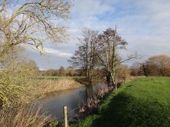 P2018DSC06701	Following the river south towards Great Blakenham.