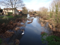 P2018DSC06742	The river in Bramford.