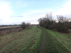 P2018DSC06900	Following the floodbanking south past Middlethorpe Ings.