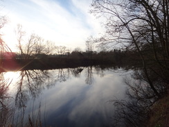 P2018DSC06905	The Ouse near Bishopthorpe.