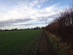 P2018DSC06915	The path between Bishopthorpe and Copmanthorpe.