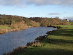 P2018DSC06971	Following the Wharfe upstream from Tadcaster.