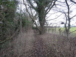 P2018DSC06995	The path leading north back to the Wharfe.