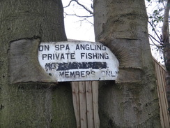 P2018DSC07010	Trees devouring a sign.