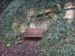 P2018DSC07013	A bench beside the path in Boston Spa.