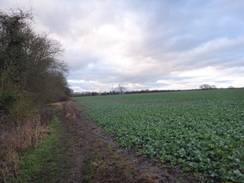 P2018DSC07034	The path leading west towards Wetherby.