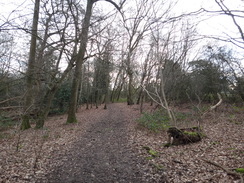 P2019DSC07084	The path past Monken Hadley Common.